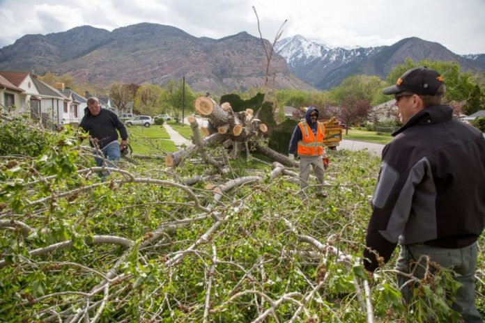 Green Waste Program Expansion