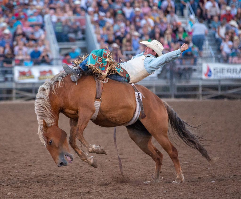 Cache County Rodeo 2020 Cache Valley Daily KVNU News for Northern