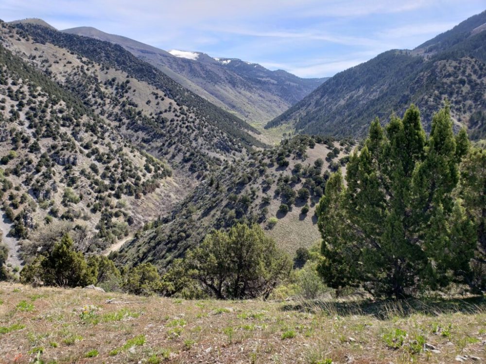 Camping and shooting restrictions implemented for areas of Providence