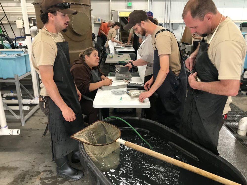 Releasing unwanted pets fish or reptiles in to the wild is illegal Cache Valley Daily News