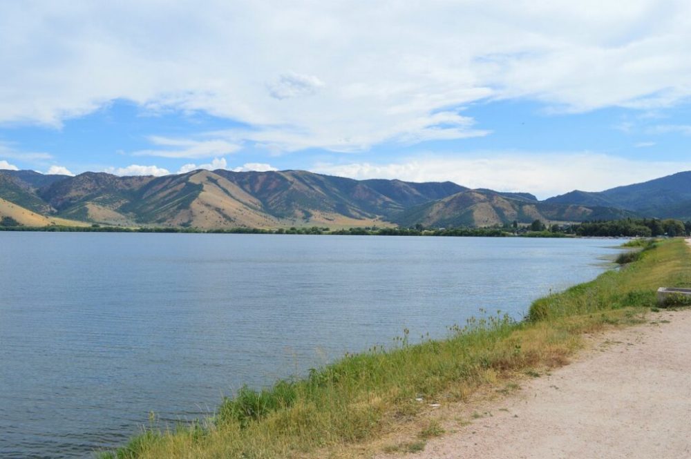 willard bay swimmers itch