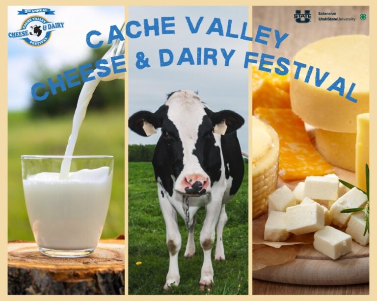 County to host 2nd Annual Cache Valley Cheese and Dairy Festival