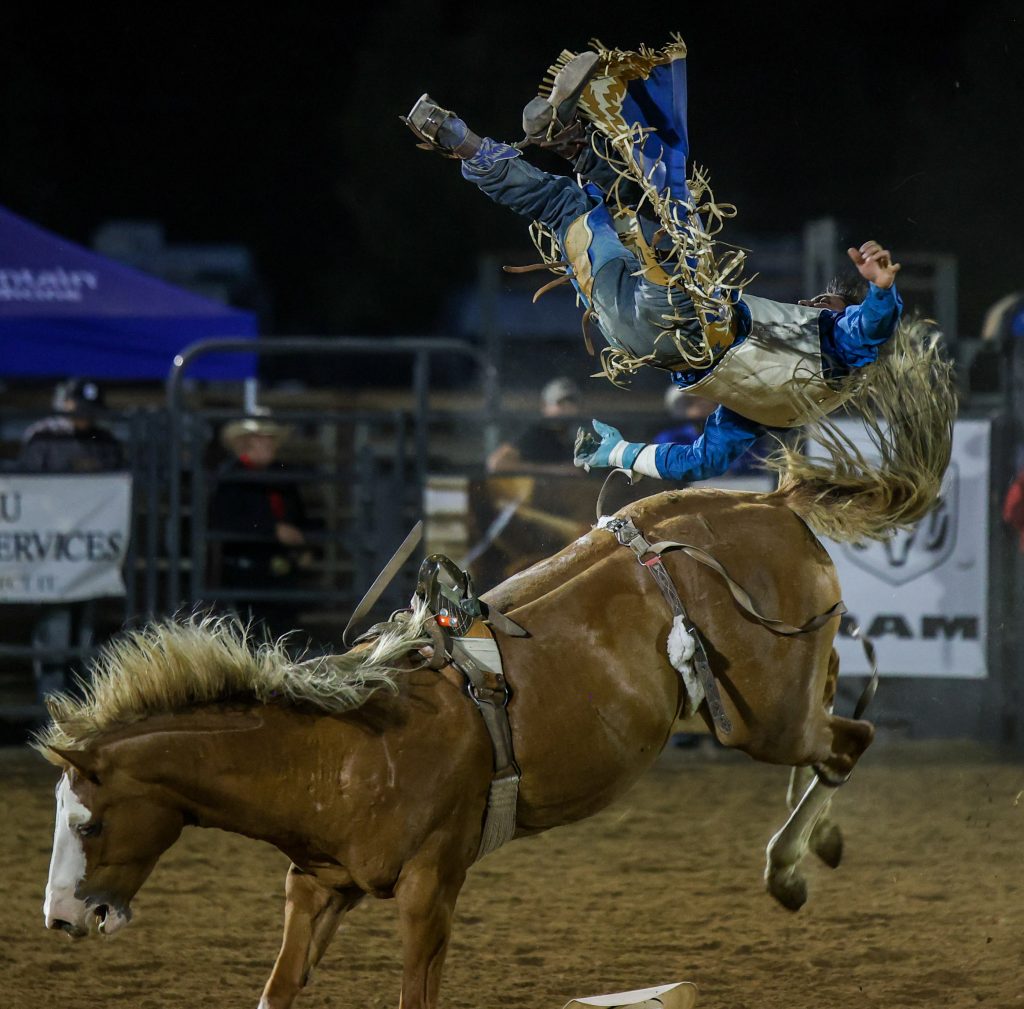 PHOTO GALLERY Cache County Fair and Rodeo Aug. 12, 2023 News for