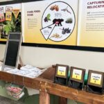 Learn about bear safety at Hardware Wildlife Education Center exhibit | News