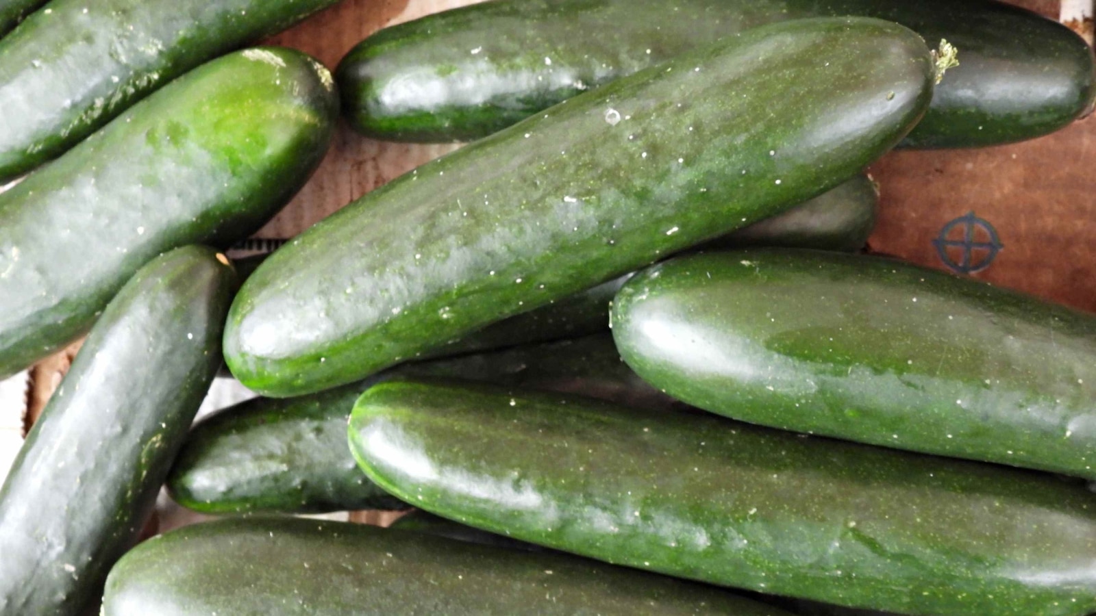 Whole, fresh cucumbers sold in 14 states recalled due to possible