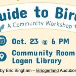 Eric Bingham to host bird-watching workshop at Logan Library on Wednesday, Oct. 23