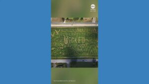 WATCH:  Maryland corn maze pays tribute to ‘Wicked’