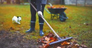Ask an Expert – November yard and garden tips
