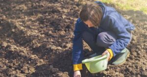 Ask an Expert – Spring gardening checklist