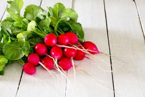 Ask an Expert – Radishes: a root awakening