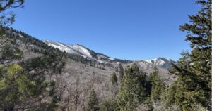 Ask an Expert: How low snowpack could affect the wildfire season this year