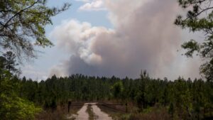 Georgia wildfires: Firefighters brace for ‘dynamic’ changes as fires continue to spread