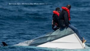 WATCH:  Dramatic ocean rescue off the California coast