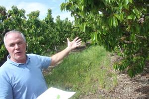 Late frost fries Fruit Way crops
