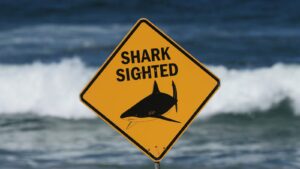 Spearfisher mauled in Australia’s second fatal shark attack in a week