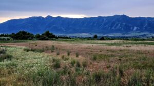 Stage 2 fire restrictions implemented for unincorporated Cache County lands