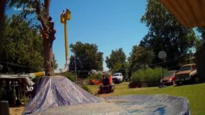 WATCH:  Oklahoma tree trimming brothers plummet after cable snaps
