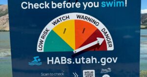 Danger warning issued for toxins at Mantua Reservoir
