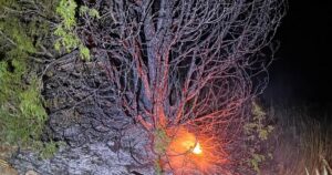 Mantua firefighters extinguish hidden blaze after lightning strikes tree
