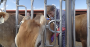 Utah State completes veterinary education building as four-year program expands