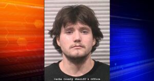 Logan man admits to sexually assaulting female relative