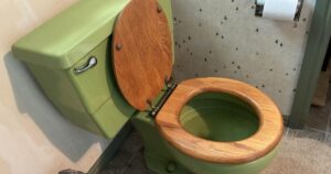 Toilet replacement program to end soon