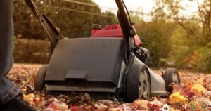 Checklist for September yard and garden tasks