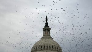 Military funding, AI and more: Congress returns for short stint before bolting again