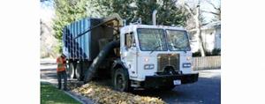 Logan officials announce several disposal options for annual city leaf cleanup effort
