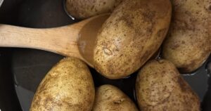 From devil’s root to dinner table: The potato’s spooky history